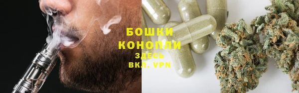 мет Алексин