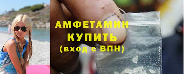 мет Алексин