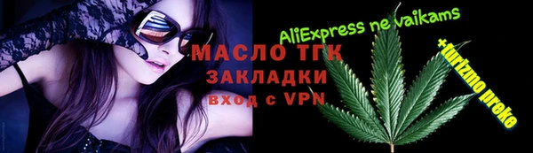 мет Алексин