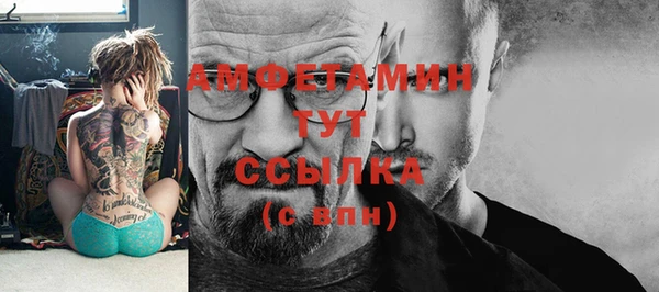 гидра Алексеевка