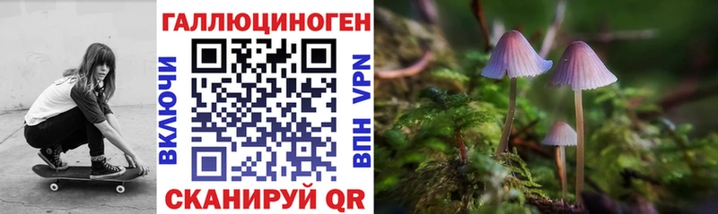 Псилоцибиновые грибы мицелий Клин